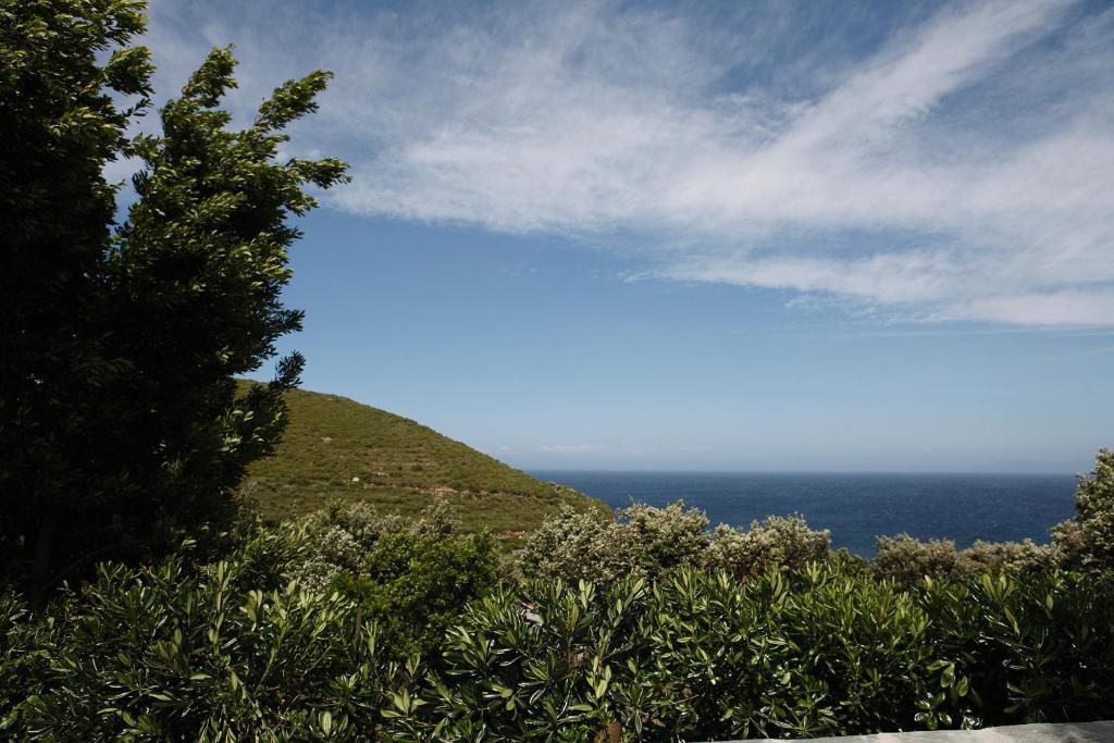Casa Di Babbo Macinaggio (Corsica) Exterior foto