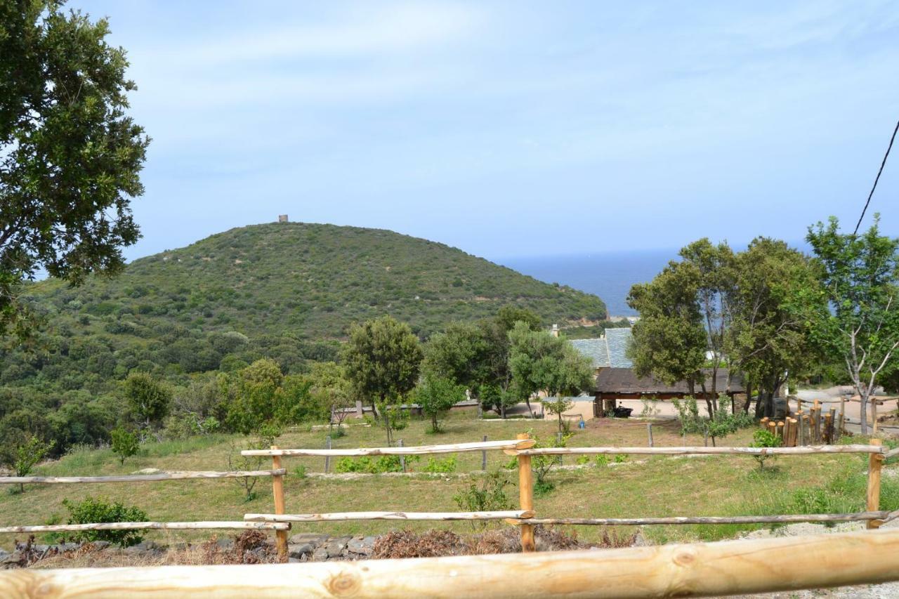 Casa Di Babbo Macinaggio (Corsica) Exterior foto