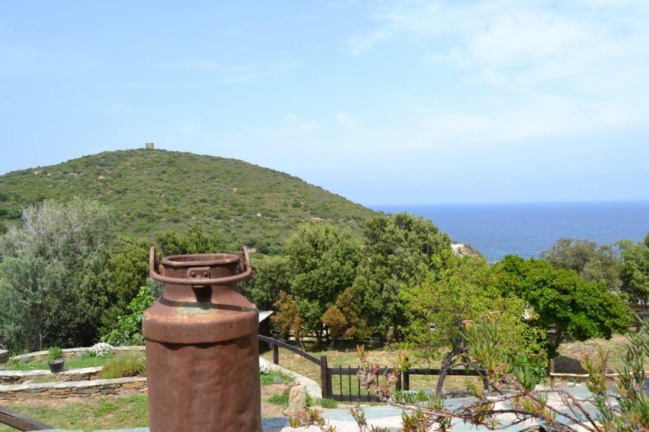 Casa Di Babbo Macinaggio (Corsica) Exterior foto