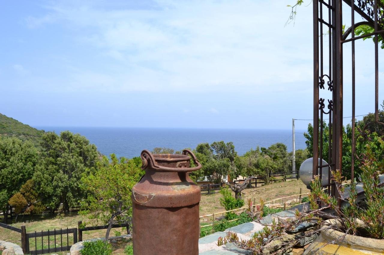 Casa Di Babbo Macinaggio (Corsica) Exterior foto